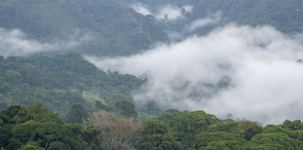 Birding in Esquipulas