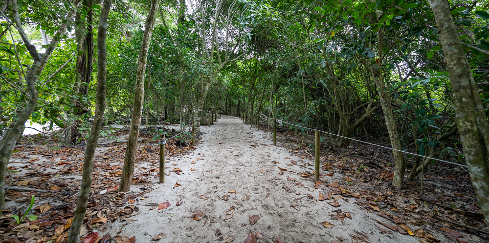 Manuel Antonio Beaches
