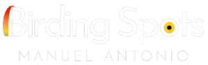 Birding Spots Manuel Antonio