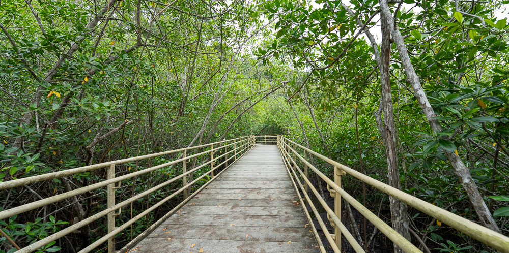 Manuel Antonio Park