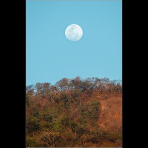 Santa Rosa National Park